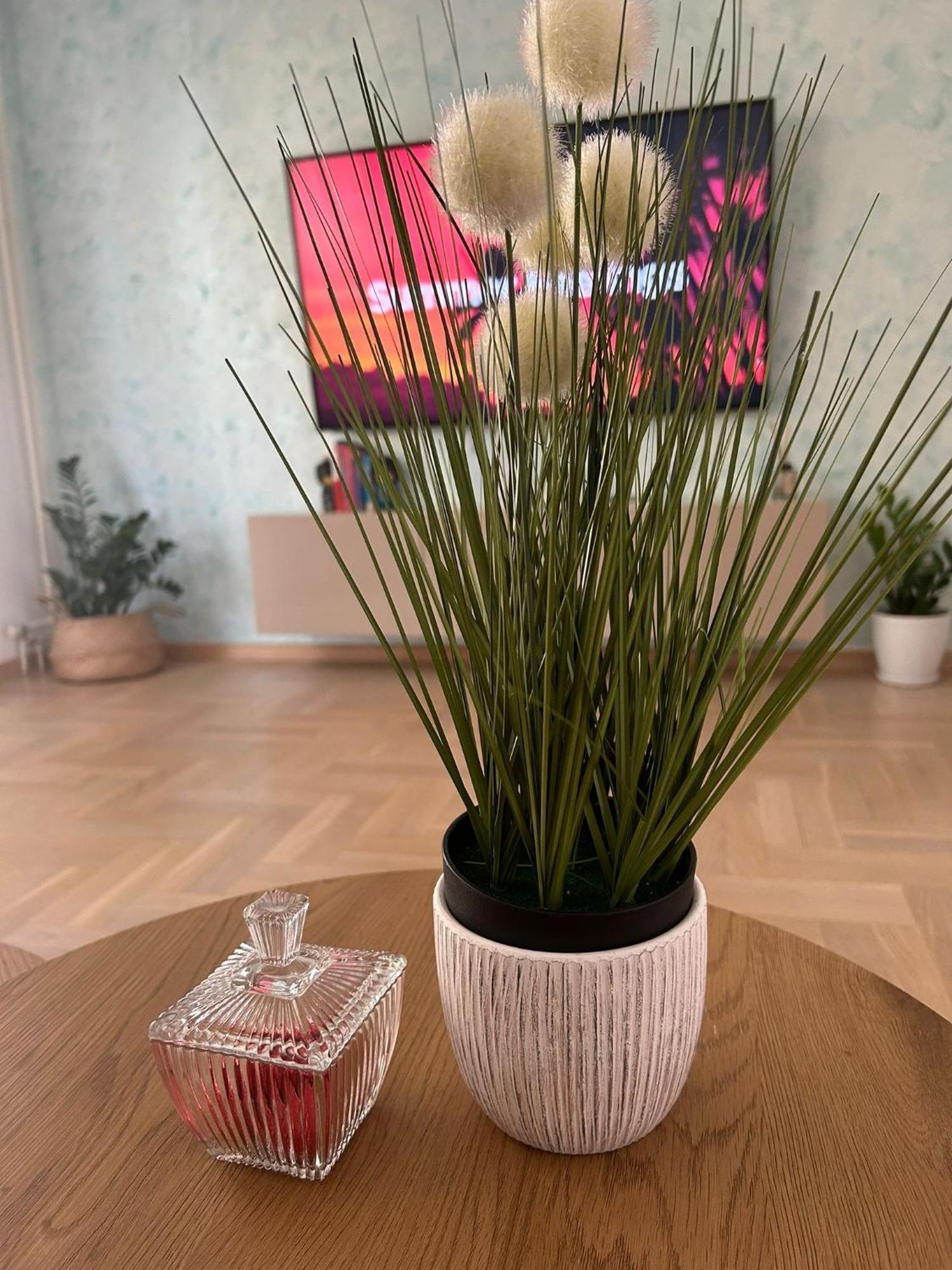 The Circle Apartment Скопие Екстериор снимка